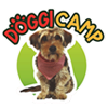 doggicamp